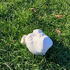 Olde English Bulldog