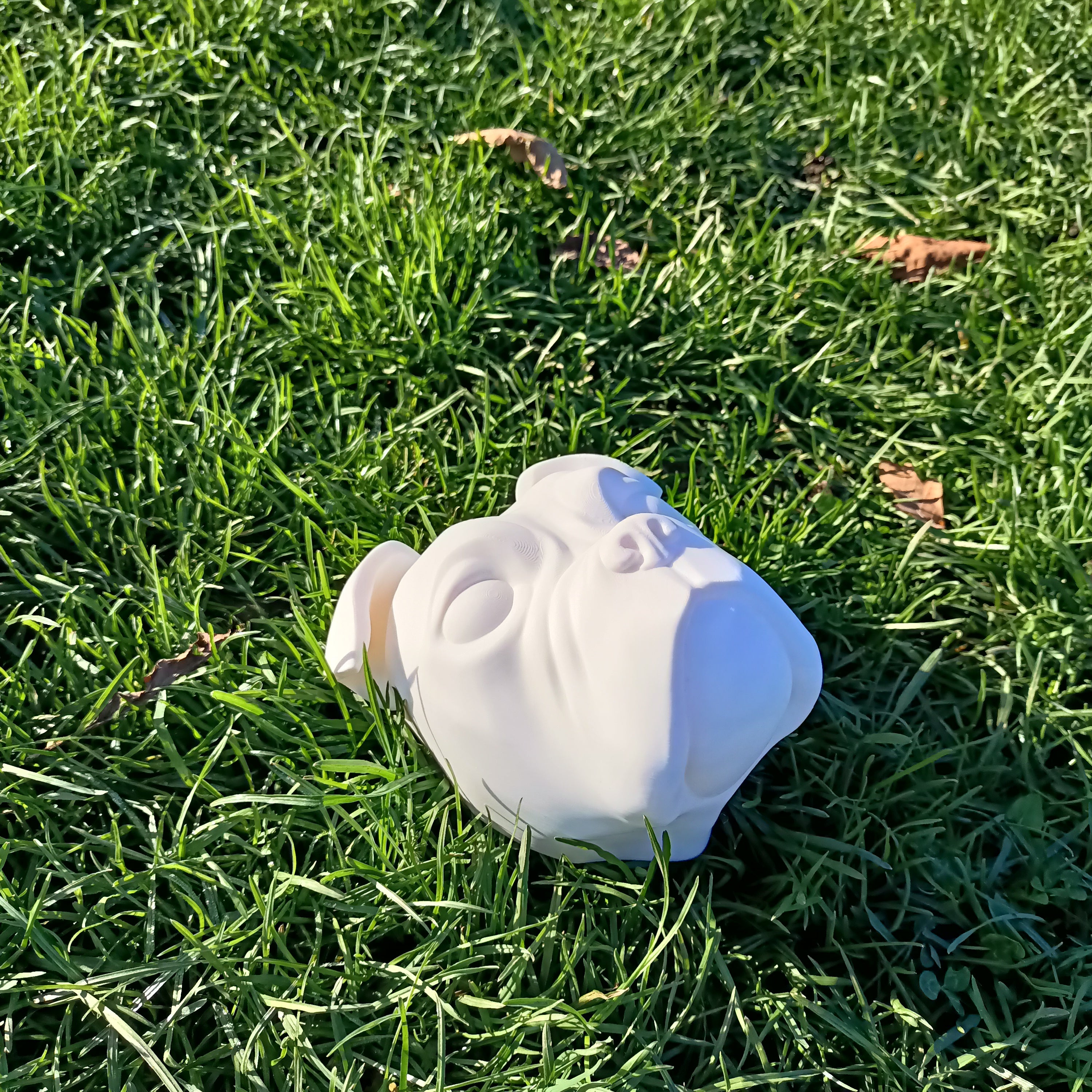 Olde English Bulldog