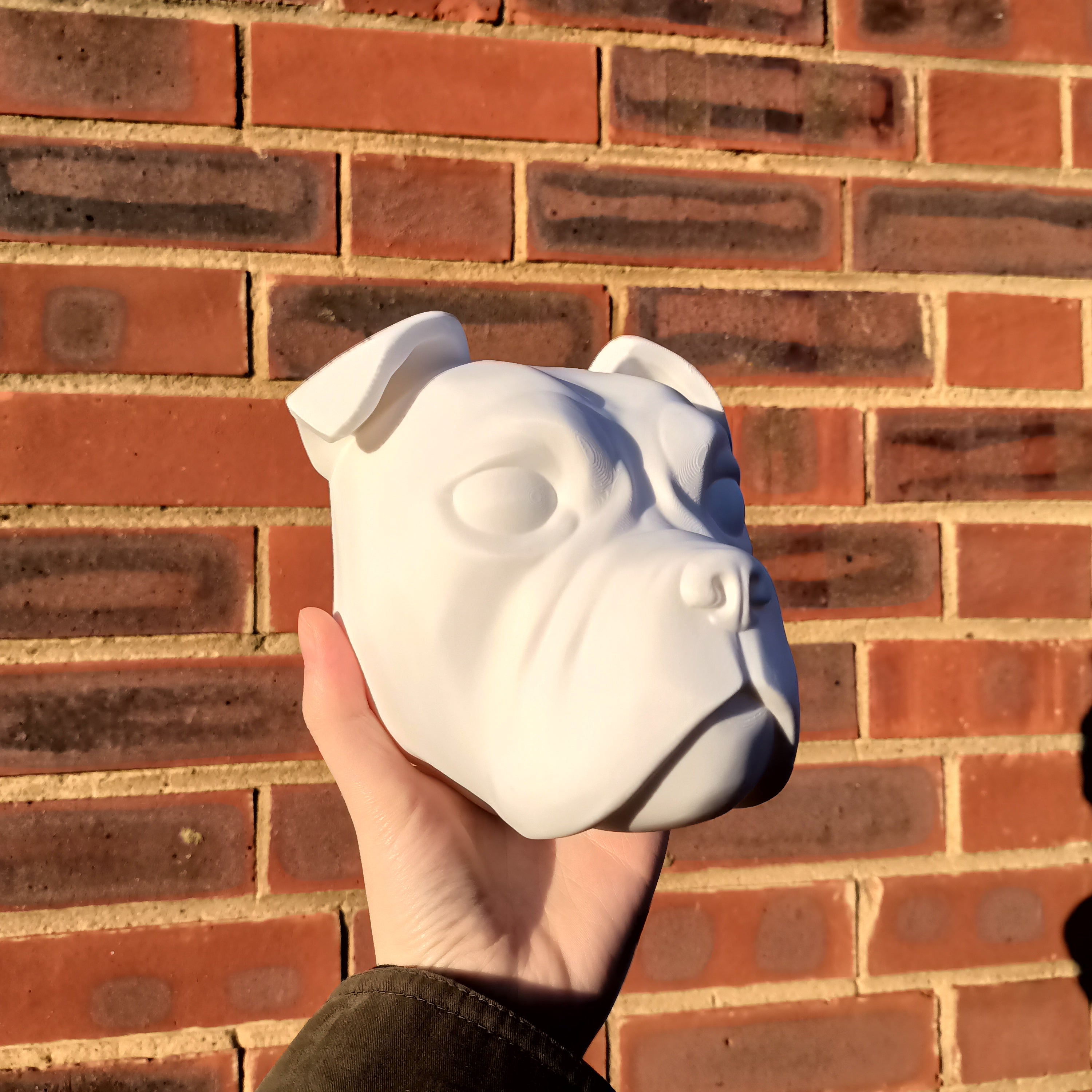 Olde English Bulldog