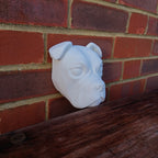 Olde English Bulldog