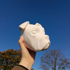 Olde English Bulldog