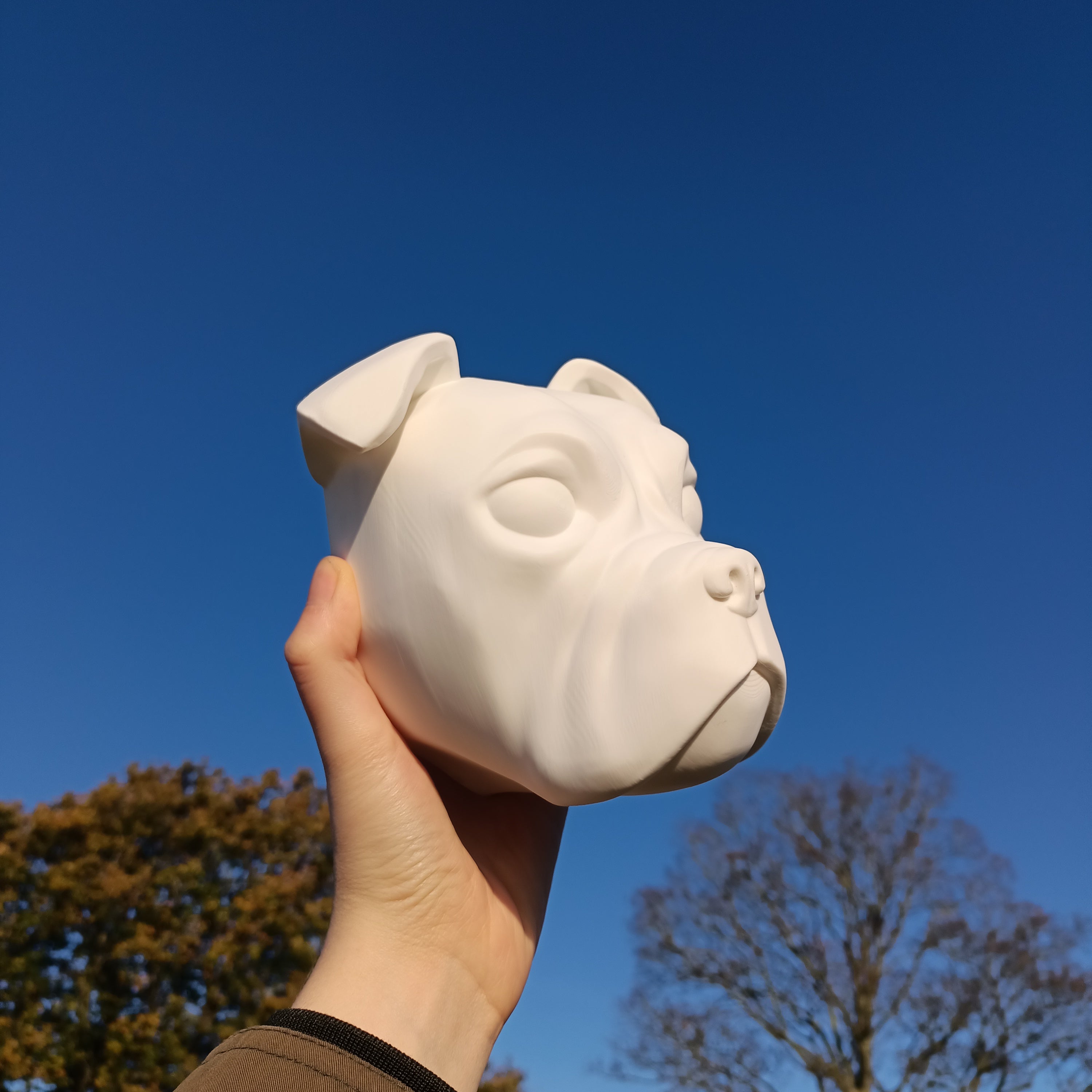 Olde English Bulldog