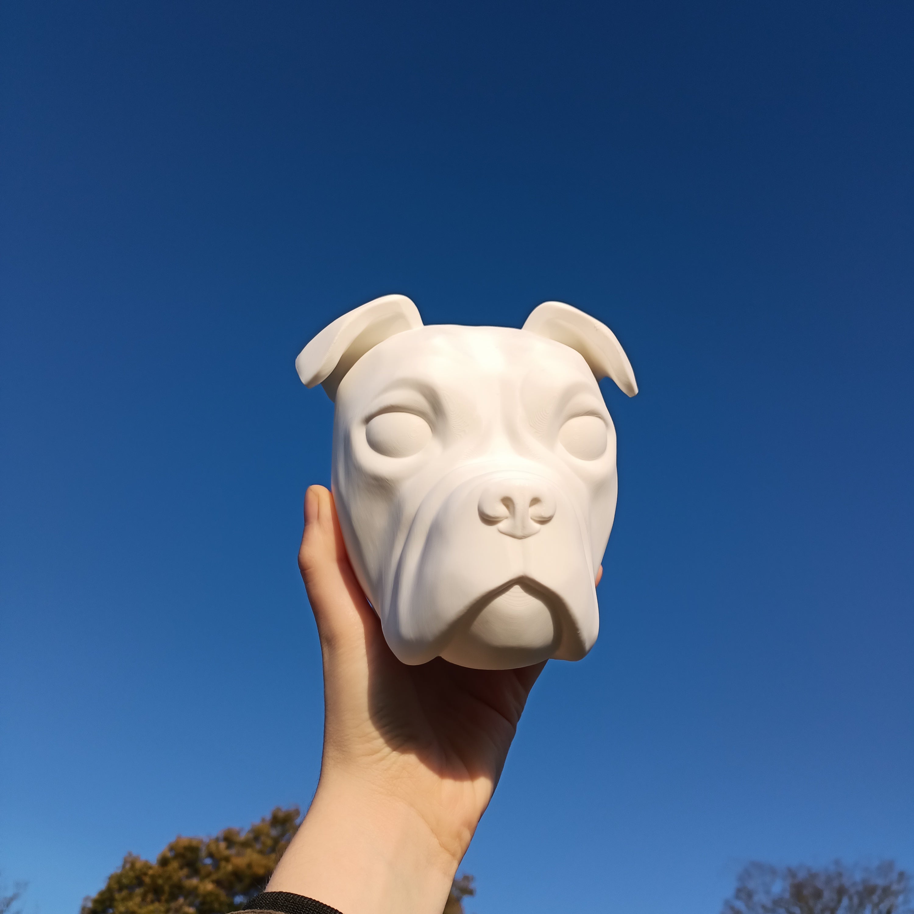 Olde English Bulldog